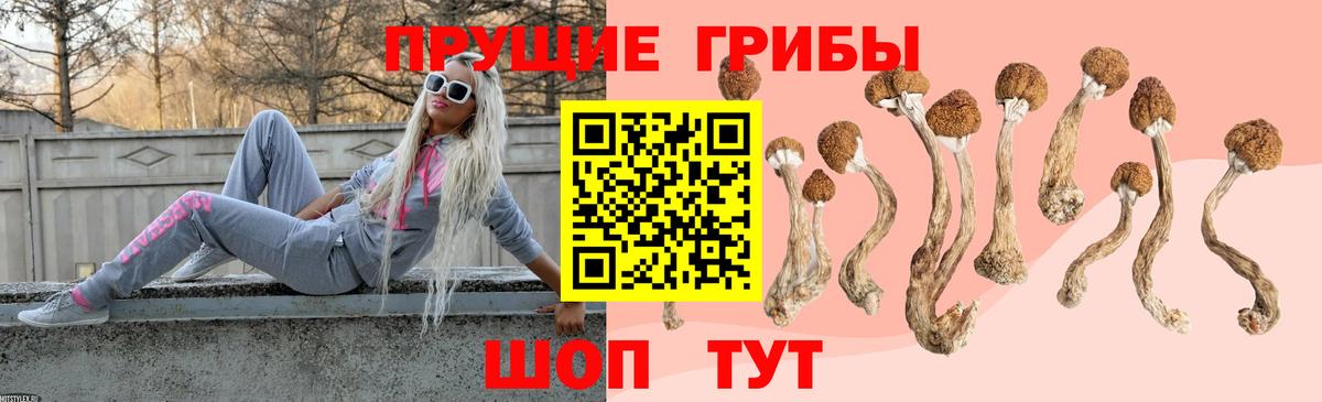 Галлюциногенные грибы Psilocybine cubensis  Вход с VPN  Ржев 
