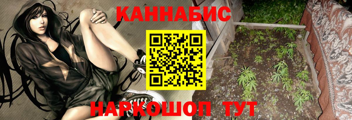 Бошки Шишки ГИДРОПОН  Конопля конопля  Ржев  Вход с VPN  Каннабис Amnesia 